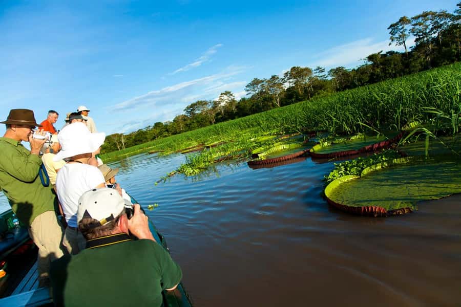 Iquitos: 3 Days and 2 Nights Guided Amazon Jungle Tour - Fishing and the local community stop: what to look for