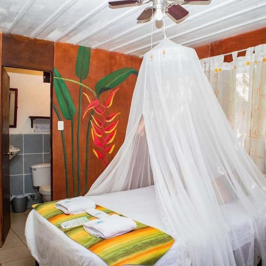 Iquitos: 3 Days and 2 Nights Guided Amazon Jungle Tour - Lodge life, meals, and the small-group feel