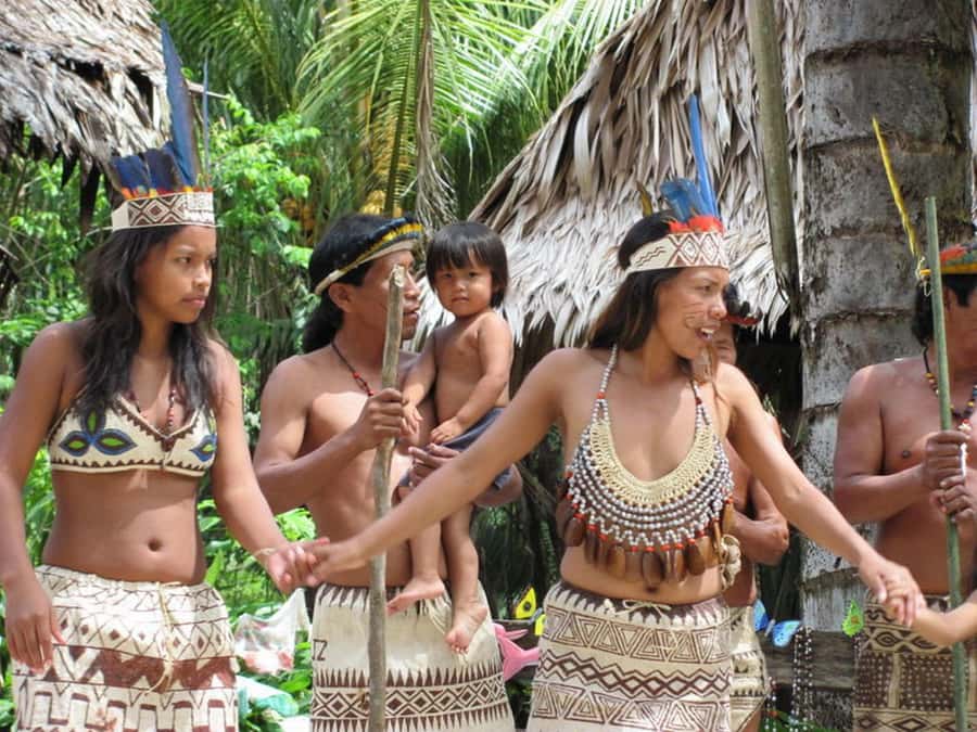 Iquitos: 5 Days inside the Rainforest | Amazon Jungle Tour - Guides, learning style, and what to ask on the spot