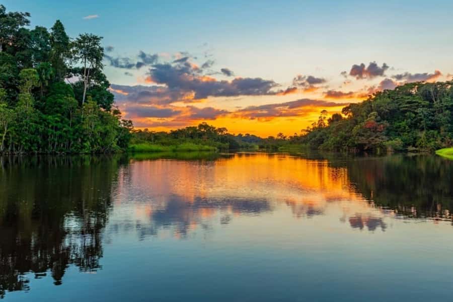 Iquitos: Amazon Jungle in 2 Days: Adventure and Expedition - Key things I would prioritize on this trip