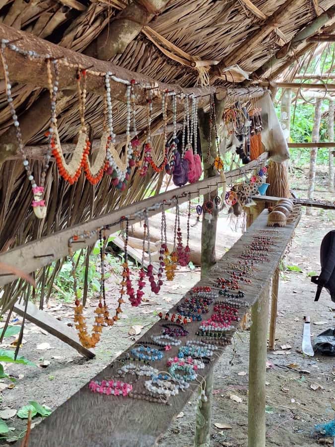 Iquitos: Amazon River Tribes Full-Day Tour with Lunch - Museum of Native Weapons: a quieter learning stop