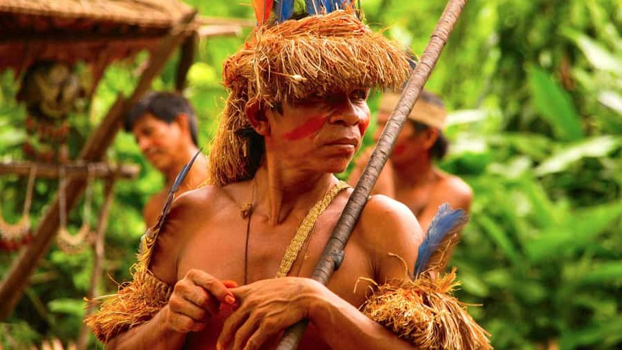 Iquitos: Full Day Tour in the Jungle | Amazon Safari - Wildlife Rescue Center Fundo Rony: care and cages