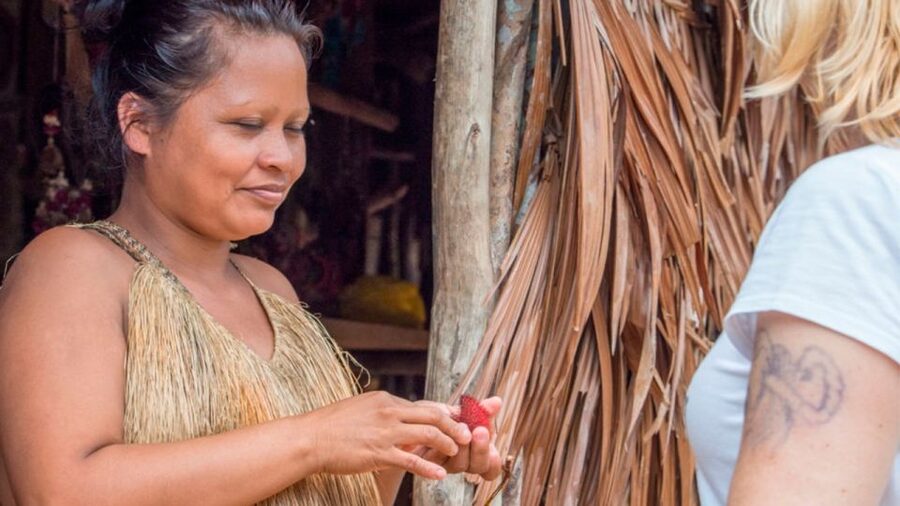 Iquitos: Native Community Experience & Amazon River Tour - Pilpintuwasi Butterfly Garden: education plus rescue work