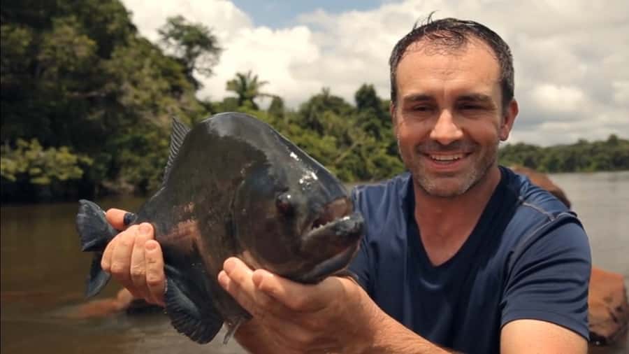 Iquitos: Piranha Fishing Experience in the Amazon jungle - Learning the Piranha Fishing Basics Without Feeling Awkward