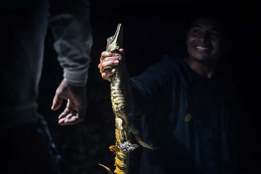 Iquitos to the Amazon: 2-Day Jungle & Wildlife Experience - Sunset and the shift to night: why timing makes the difference