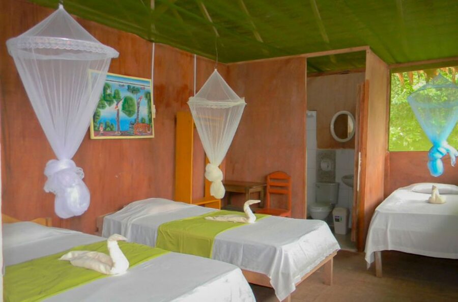 Iquitos to the Amazon: 2-Day Jungle & Wildlife Experience - Rafting and plant life: the second day keeps moving