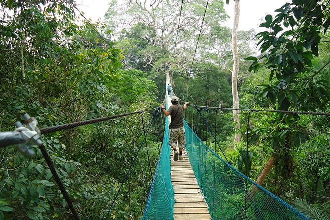 Jungle Eco Jungle And Adventure - 4 Days / 3 Nights - Getting to Monte Amazónico Lodge without stress