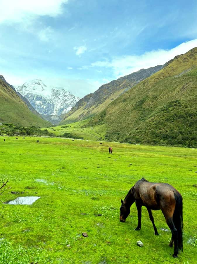 Lagoon Humantay. Full Day Tour with Breakfast and Lunch - Drive to Soraypampa through the Apurímac Valley