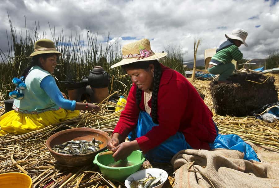 Lake Titicaca, Uros and Taquile Full-Day Tour - Uros Floating Islands and the Water Tribe: More Than a Photo Stop