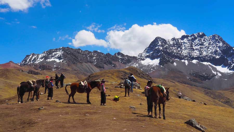 Lima: 7-Day Inca Tour with Flights and Machu Picchu - Key things that make this tour worth a look