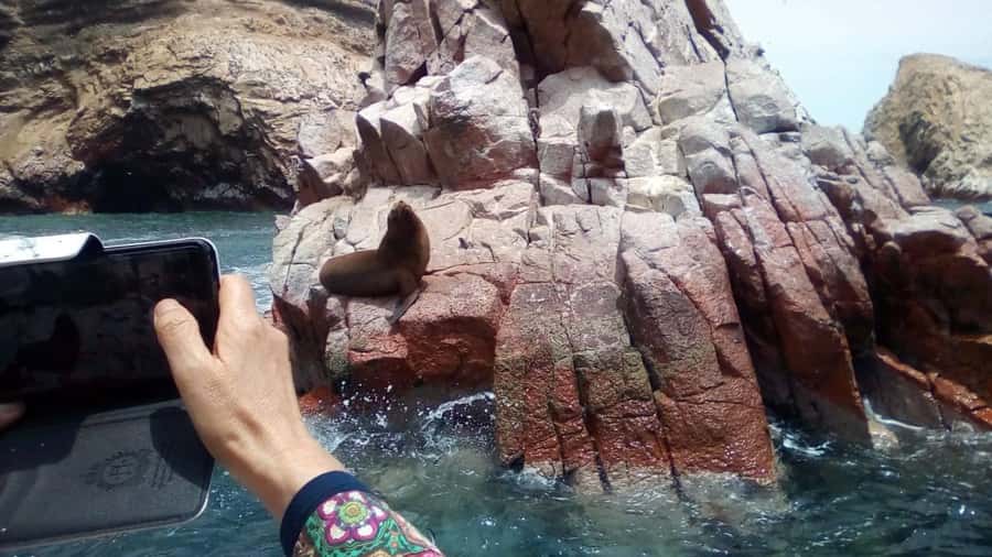 Lima and Nasca : Ballestas -Huacachina-Nasca Lines - Key highlights at a glance