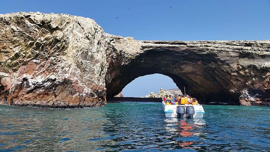 Lima: Ballestas & Huacachina Day Trip w/ Nazca Lines Flight - Paracas Bay and Ballestas Islands: wildlife at close range