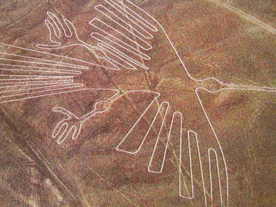 Lima: Ballestas Islands, Huacachina Oasis & Nazca Lines Tour - Key points before you go