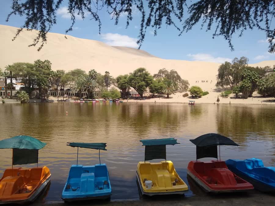 Lima: Ballestas Islands, Huacachina Oasis & Nazca Lines Tour - What to bring, and what to avoid, for a smooth day