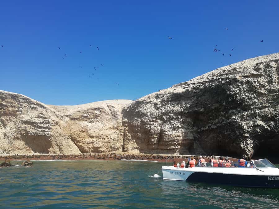 Lima: Ballestas Islands, Winery and Nazca Lines Private Tour - Key things to know before you go