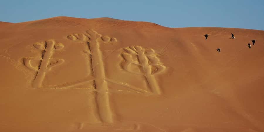Lima: Ballestas Islands, Winery and Nazca Lines Private Tour - The 4:30 AM pickup and the drive to Paracas