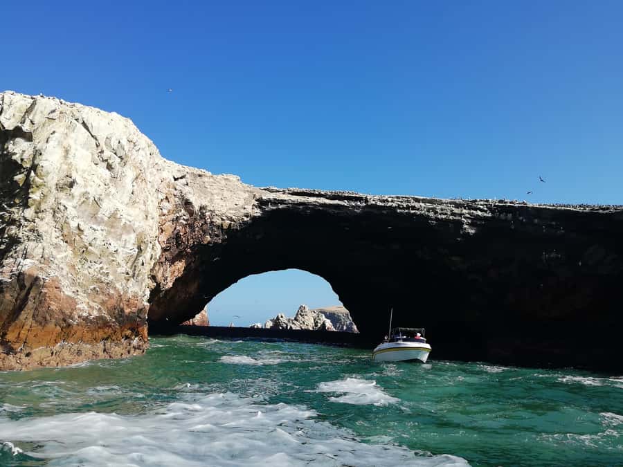 Lima: Ballestas Islands, Winery and Nazca Lines Private Tour - Timing and logistics: how the whole day fits together