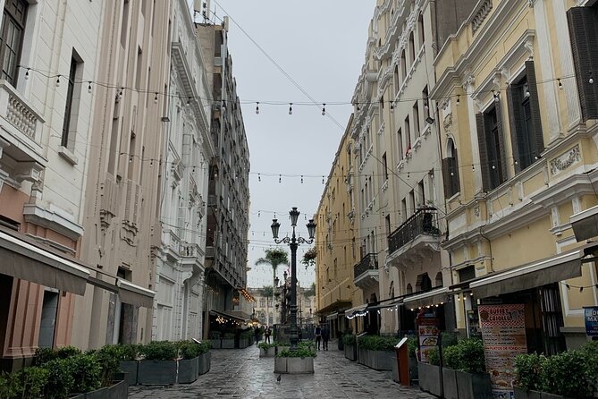 Lima City of The Kings Walking Tour Including Catacombs - Presidential Palace and the Cathedral: See Power From the Outside
