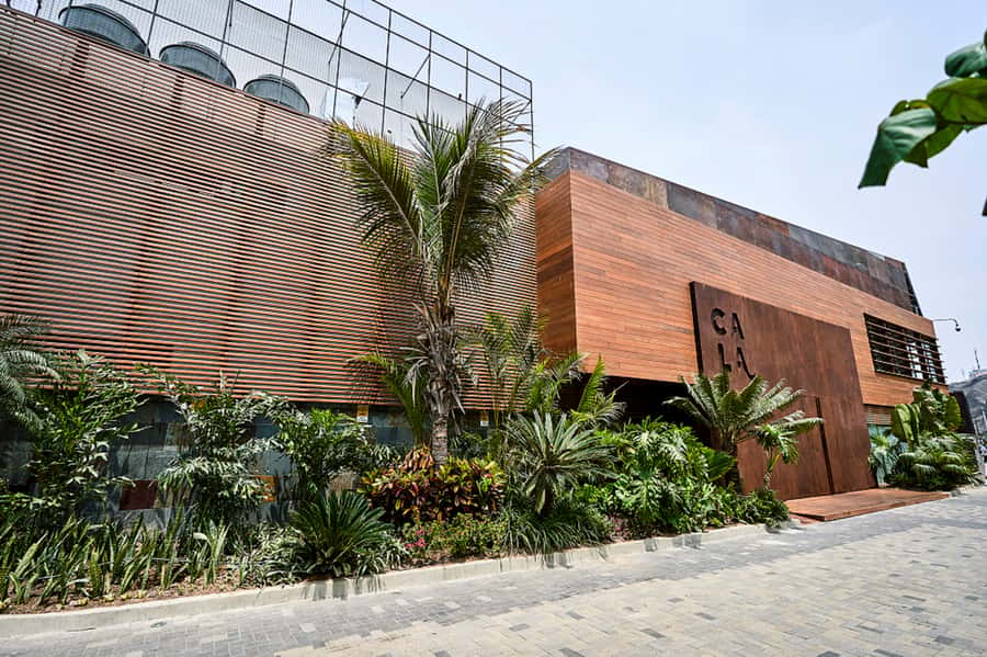 Lima: Demo Cooking Class with Lunch at Cala Restaurant - Lunch on the terrace: making your menu choices count