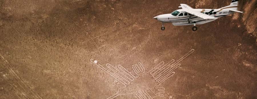LIMA|| FullDay excursion to the Nazca Lines+Huacachina Oasis - Nazca Lines from the air, what you can actually make out