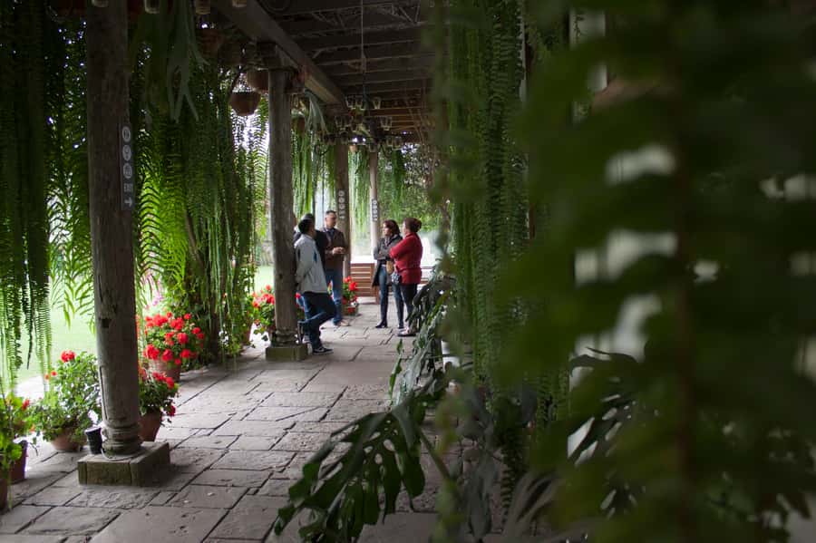 Lima: Half-Day Colonial Lima and Larco Museum Tour - Price and value: Why $62 can be a fair deal