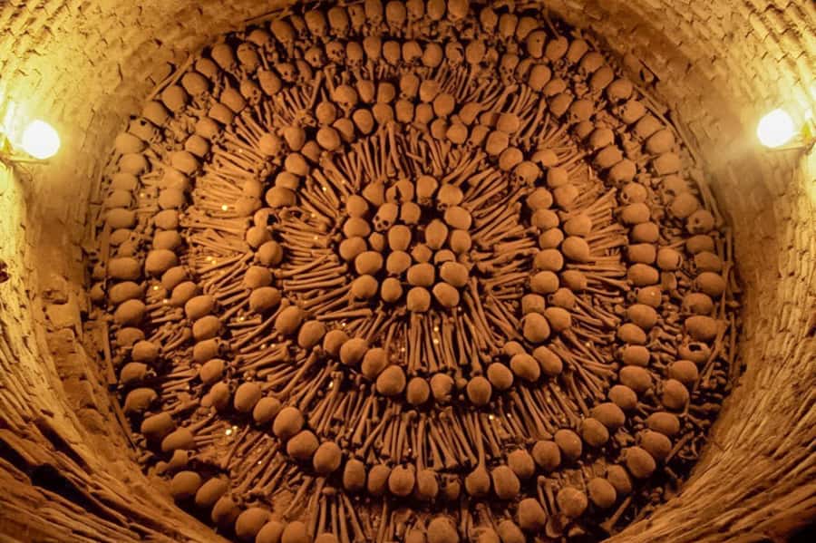 Lima: Historic Downtown, Miraflores & Catacombs Private Tour - Key highlights worth planning around