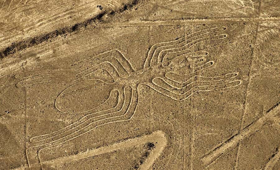Lima: Huacachina, Winery, & Nazca Lines from Pisco Airport - Nazca Lines from the air: what you actually see