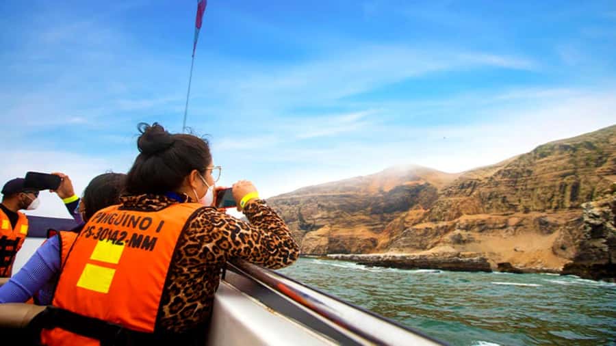 Lima | Islas Palomino Tour | Swim with Sea Lions - Safety, Gear, and Getting Comfortable in the Water