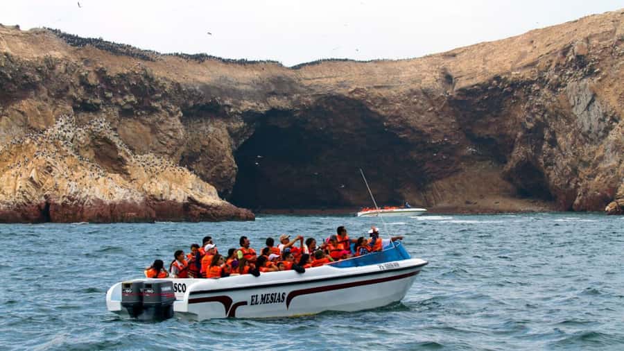 Lima | Islas Palomino Tour | Swim with Sea Lions - After the Swim: What to Do in Callao, Chucuito, or La Punta