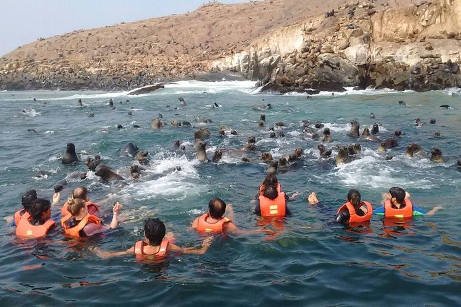 Lima: Palomino Islands Excursion & Swimming with Sea Lions with Hotel Transfers - Who Should Book This Sea Lion Swim From Lima?