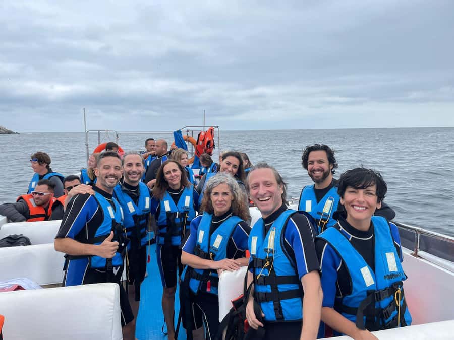 Lima: Palomino Islands Speedboat Tour & Swim with Sea Lions - Key things to know before you go