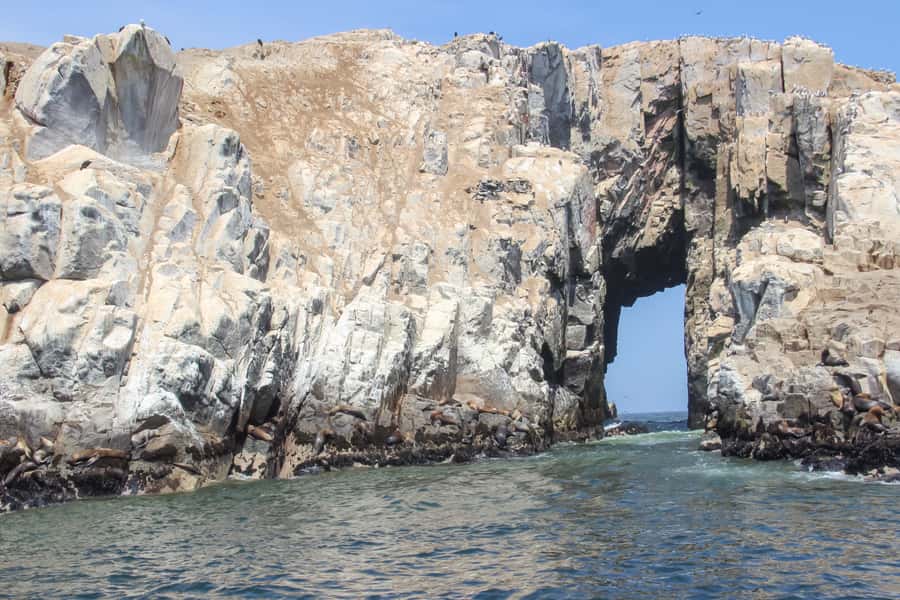 Lima: Palomino Islands Speedboat Tour & Swim with Sea Lions - Cruise time: El Camotal, San Lorenzo, and Palomino Island