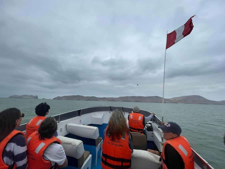 Lima: Palomino Islands Speedboat Tour & Swim with Sea Lions - The main event: swimming with sea lions (gear included, focus required)