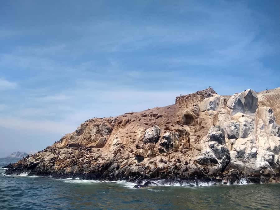 Lima: Palomino Islands Speedboat Tour & Swim with Sea Lions - What’s included, what’s not, and how that affects your prep