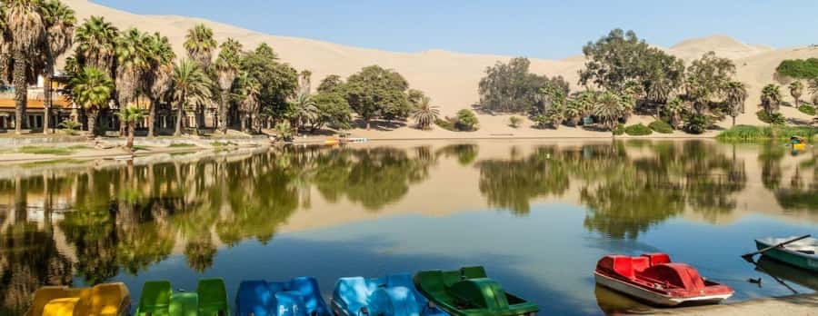 Lima: Paracas and the Huacachina Oasis Guided Day Tour - Value for $65: Does This One-Day Tour Deliver?