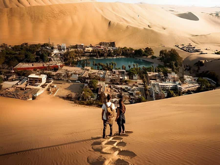 Lima: Paracas & Huacachina Oasis Day Trip with Wine & Dunes - Ballestas Islands: speedboat wildlife and the Chandelier Lines by sea