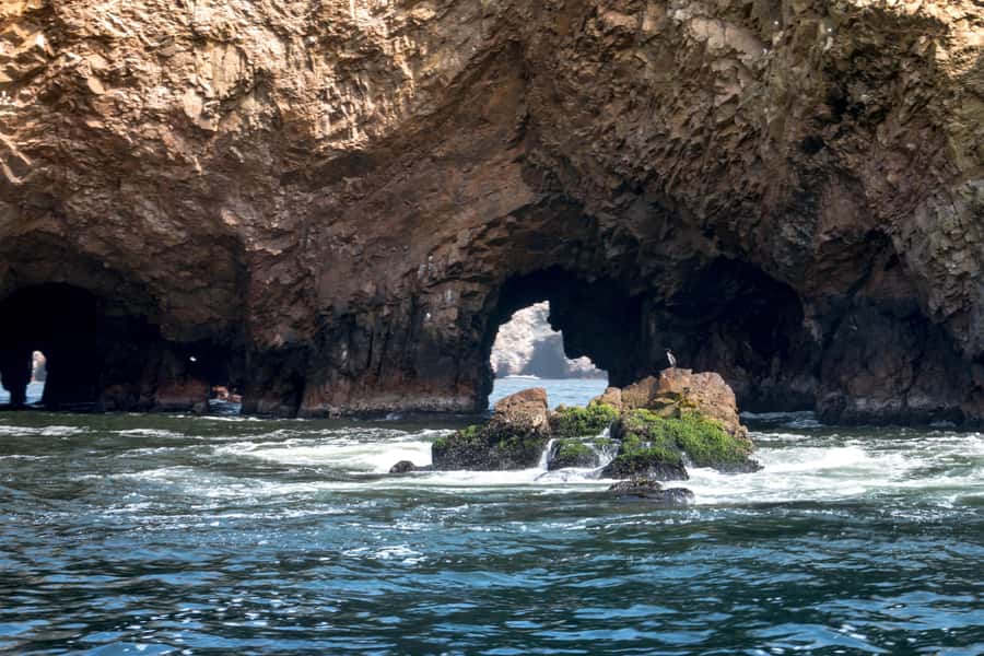 Lima: Paracas & Huacachina Oasis Day Trip with Wine & Dunes - Dune buggy rides and sandboarding: the adrenaline finale