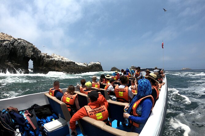 Lima Peru Sea Lions, History and Palomino Callao Islands - The island route: what you’ll likely see at each stop
