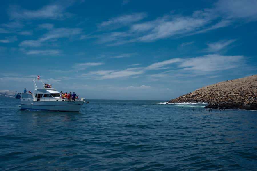 Lima: Sea Lion Swim and Wildlife Palomino Islands Cruise - Sea lions and San Lorenzo: Why this 4-hour cruise is such a good use of time