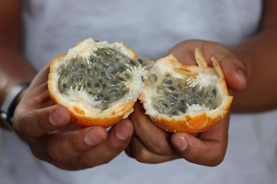 Lima: Shanty Town Exploration - Traditional market stop: fruits, small talk, and respect