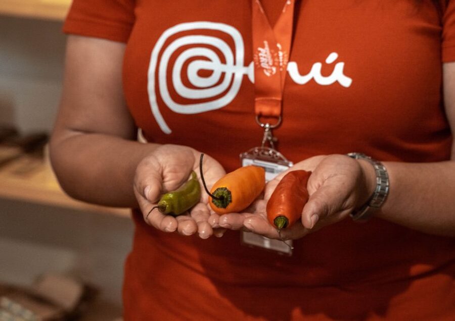 Lima: Ultimate Peruvian Food Tour - Price and Value in Lima: Is $105 Worth It?