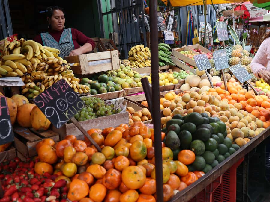 Lima: Villa El Salvador Shanty Town Tour - Key takeaways before you go