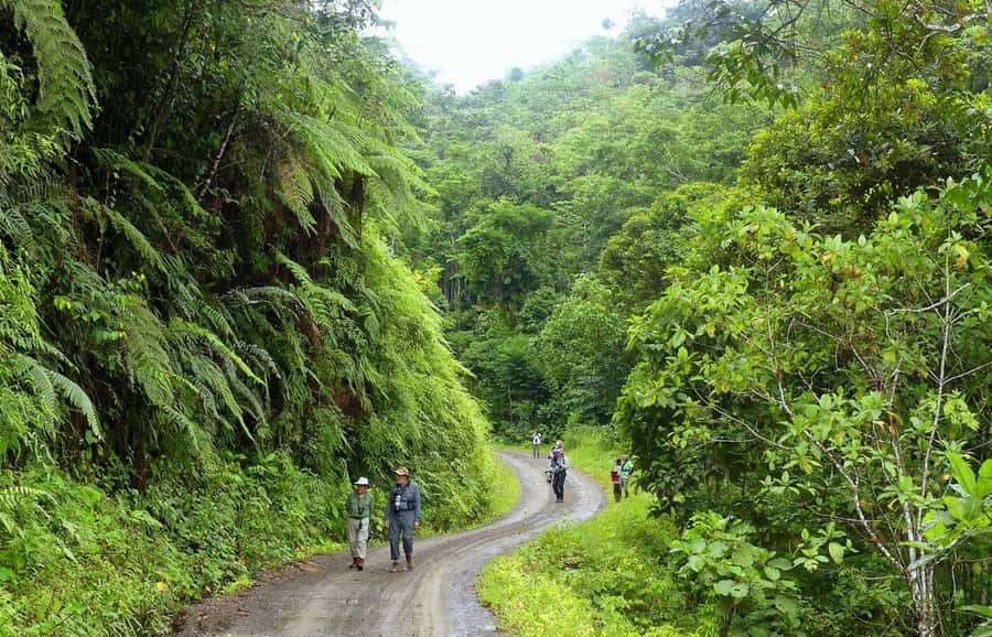 Living Nature from Cusco: 3 Days Manu Jungle all inclusive - Key Things That Make This Manu Tour Worth It