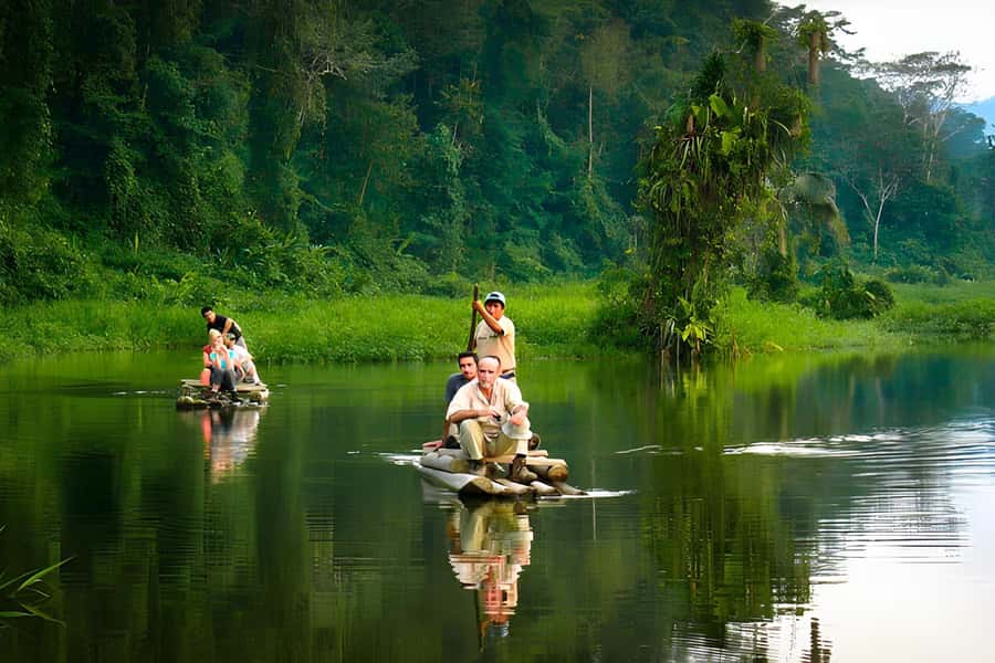 Living Nature from Cusco: 3 Days Manu Jungle all inclusive - Cloud Forest Wildlife Watching: What You’re Really Paying For
