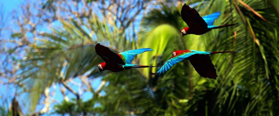 Living Nature from Cusco: 3 Days Manu Jungle all inclusive - Price and Value: Does $390 Make Sense for 3 Days?