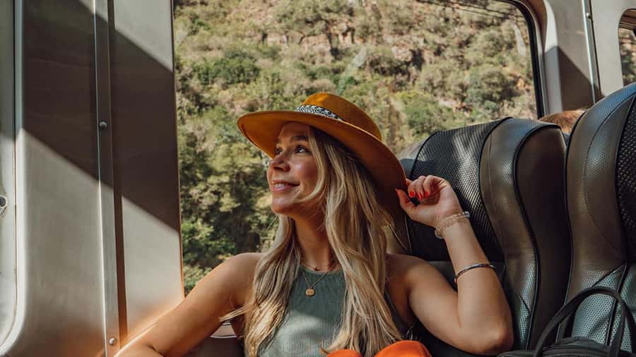 Machu Picchu: 1-day tour by Vistadome Observatory train - Price and value: is $590 a fair deal for one day?
