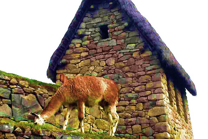 Machu Picchu 1 Day Tour from Cusco by Train - Tips to make the day smoother (and less stressful)