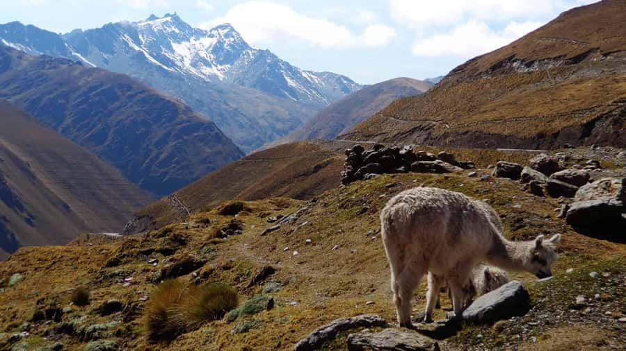 Machu Picchu 2 Days / 1 Night (By Bus) - How this Machu Picchu 2-Day, 1-Night bus trip really works
