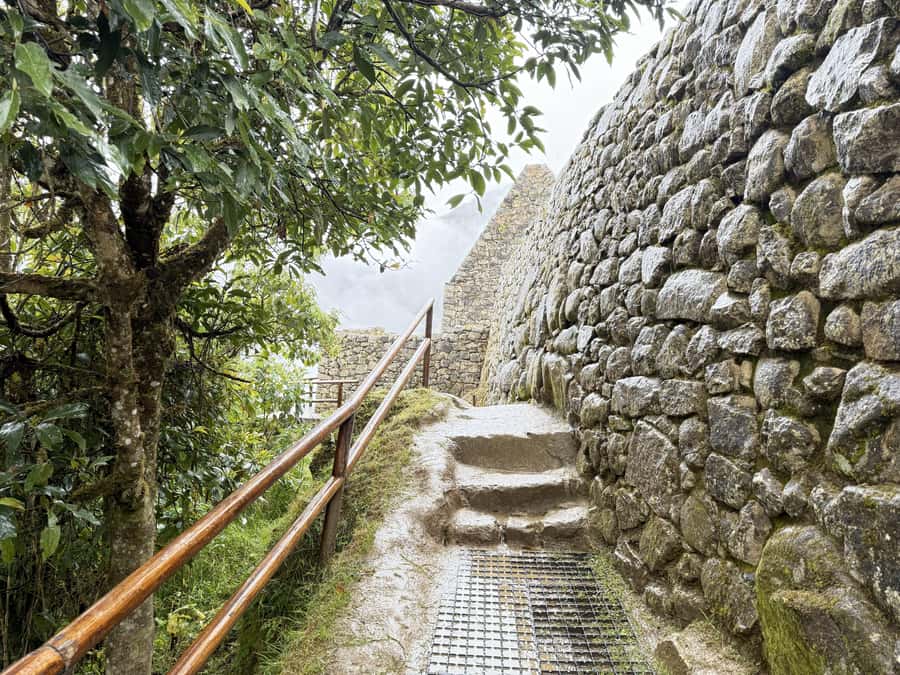 Machu Picchu Entry Ticket and Bus from Aguas Calientes - Exploring the Lost Citadel Without a Guide