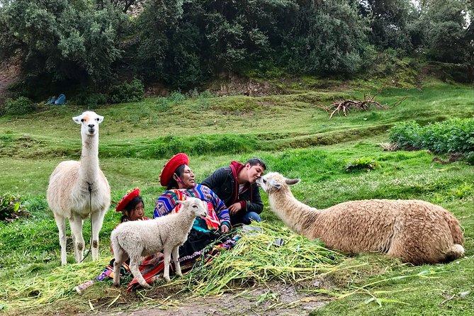 Machu Picchu Full Day from Cusco - Machu Picchu entry time, guided walk, and the temples you should look for
